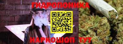 твердый Славгород