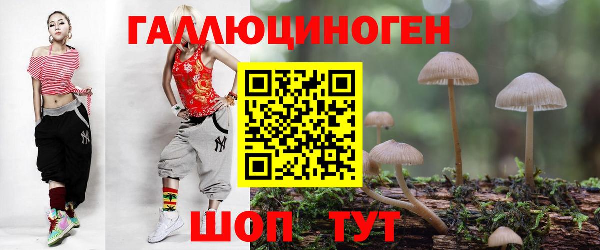 Псилоцибиновые грибы Psilocybine cubensis  Вход с VPN  наркотики  Осинники 